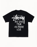 STUSSY 26SS BIG LOVE TEE