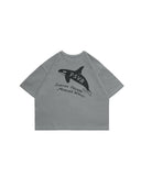 Persevere 25SS kids' T-shirts series fish